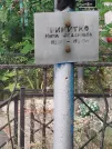 Захоронение ID 6107470