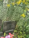 Захоронение ID 6346079