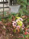 Захоронение ID 6346077