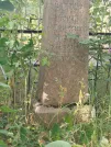 Захоронение ID 6346059