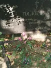 Захоронение ID 6345979