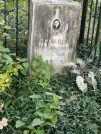 Захоронение ID 6344018