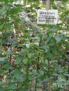 Захоронение ID 6344007