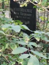 Захоронение ID 6343983