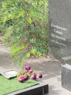 Захоронение ID 6344635