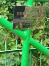 Захоронение ID 6344609