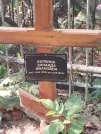 Захоронение ID 6344591