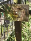 Захоронение ID 6344582