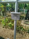 Захоронение ID 6344577