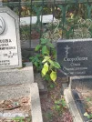 Захоронение ID 6344549