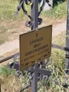 Захоронение ID 6344517
