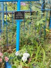 Захоронение ID 6348928