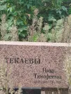Захоронение ID 6348105