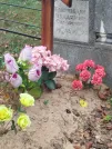 Захоронение ID 6347852
