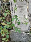 Захоронение ID 6347696