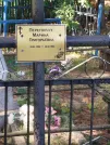 Захоронение ID 6347568