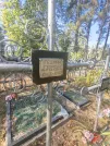 Захоронение ID 6347468