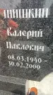 Захоронение ID 4201995