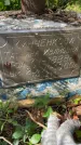 Захоронение ID 4243093