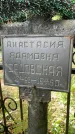 Захоронение ID 4253258