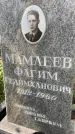 Захоронение ID 4253806