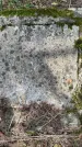 Захоронение ID 4260581