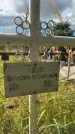 Захоронение ID 4310071