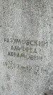 Захоронение ID 4376467
