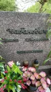 Захоронение ID 4571440