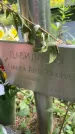 Захоронение ID 4581099