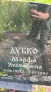 Захоронение ID 4581564