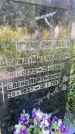 Захоронение ID 4632856