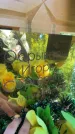 Захоронение ID 4647173