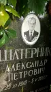 Захоронение ID 4697006