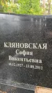 Захоронение ID 4697146
