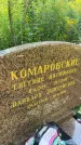 Захоронение ID 4697208