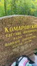 Захоронение ID 4697209