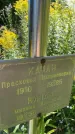 Захоронение ID 4697263