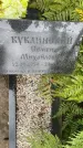 Захоронение ID 4697327
