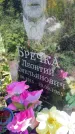 Захоронение ID 4749967