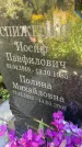 Захоронение ID 4754649