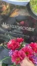 Захоронение ID 4842289