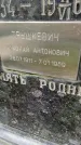 Захоронение ID 4882994