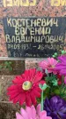 Захоронение ID 4887336