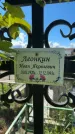 Захоронение ID 4908888