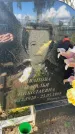 Захоронение ID 4912950