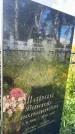 Захоронение ID 4921085