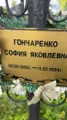 Захоронение ID 5043314