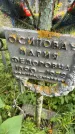 Захоронение ID 5043339