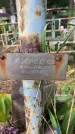 Захоронение ID 5043367